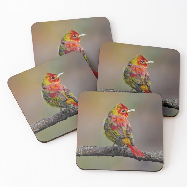 Item preview, Tangara Escarlata - Fotografía original designed and sold by alpendesigns.