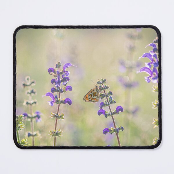 Item preview, Heath Fritillary on Meadow Clary designed and sold by Tony North.