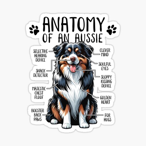 Item preview, Funny Australian Shepherd Anatomy Dog Lover Dog Owner designed and sold by lanynx design.