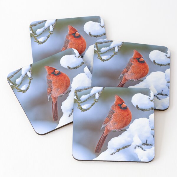 Item preview, Northern Cardinal in Winter - Original Photograph designed and sold by alpendesigns.