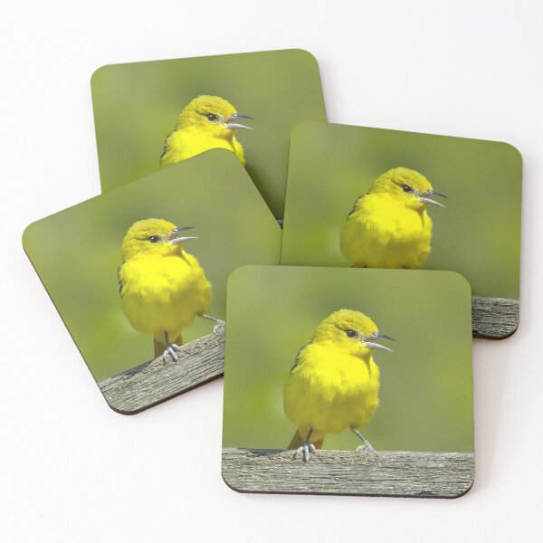 Item preview, Orchard Oriole - Original Photograph designed and sold by alpendesigns.