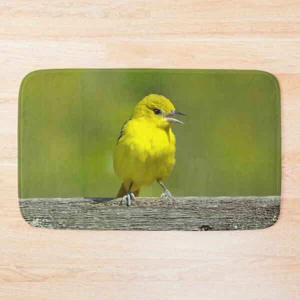 Item preview, Orchard Oriole - Original Photograph designed and sold by alpendesigns.