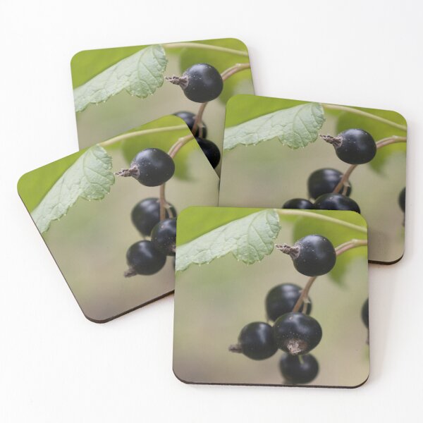 Item preview, Black Currant designed and sold by Calidris Fotografie Steffi & Ben Köppler.