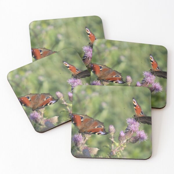 Item preview, Peacock Butterflies on Field Thistle designed and sold by Calidris Fotografie Steffi & Ben Köppler.