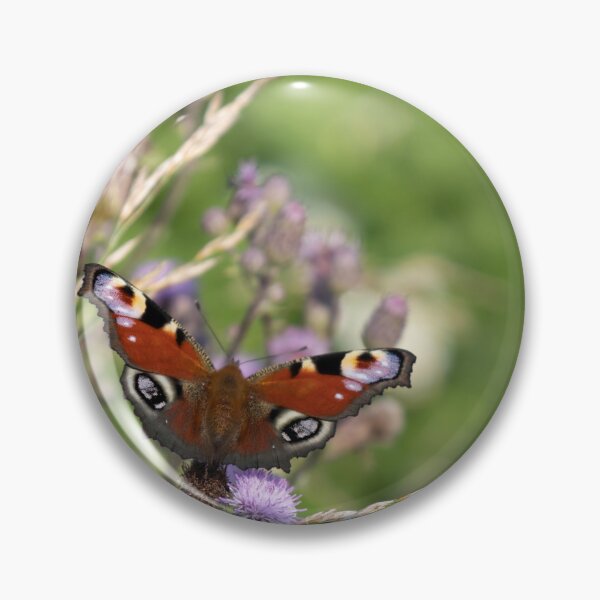 Item preview, Peacock Butterflies on Field Thistle designed and sold by Calidris Fotografie Steffi & Ben Köppler.