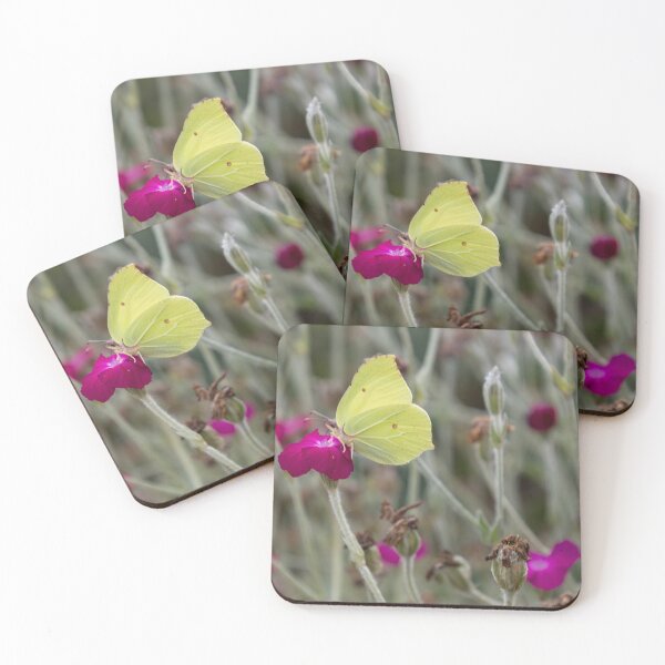 Item preview, Common Brimstone on Rose Campion designed and sold by Calidris Fotografie Steffi & Ben Köppler.