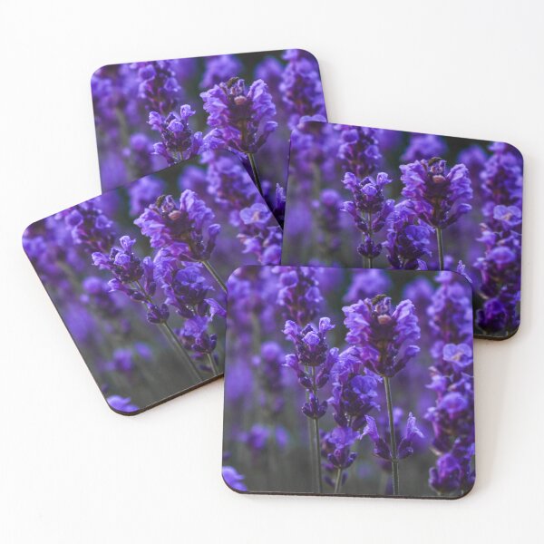 Item preview, beautiful deep purple coloured lavender plants designed and sold by JesseBalk.