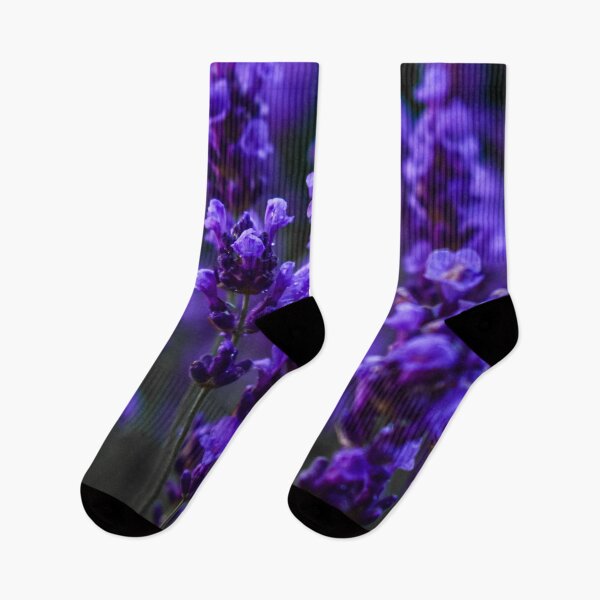Item preview, Hermosas plantas de lavanda de color morado oscuro. designed and sold by JesseBalk.