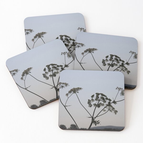 Item preview, Common Hogweed designed and sold by Calidris Fotografie Steffi & Ben Köppler.