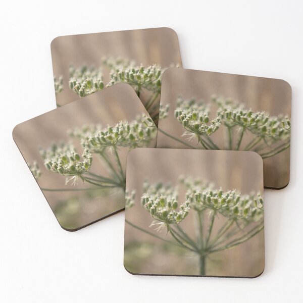Item preview, Common Hogweed designed and sold by Calidris Fotografie Steffi & Ben Köppler.