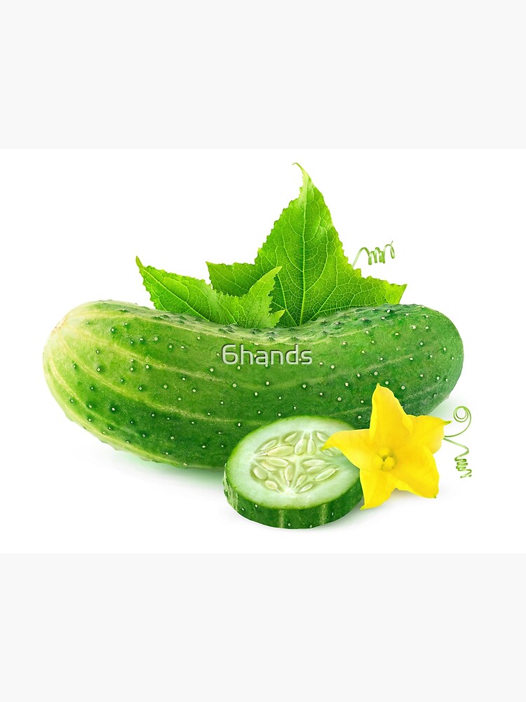 Fresh Cucumber