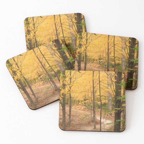 Item preview, Fall colors along the Stream Trail, Maplehurst Natural Area, Michigan designed and sold by Daniel Arthur Brown Photography.