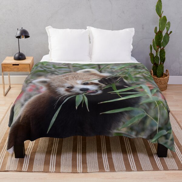 Item preview, Red Panda 2 designed and sold by megjayne-photos.