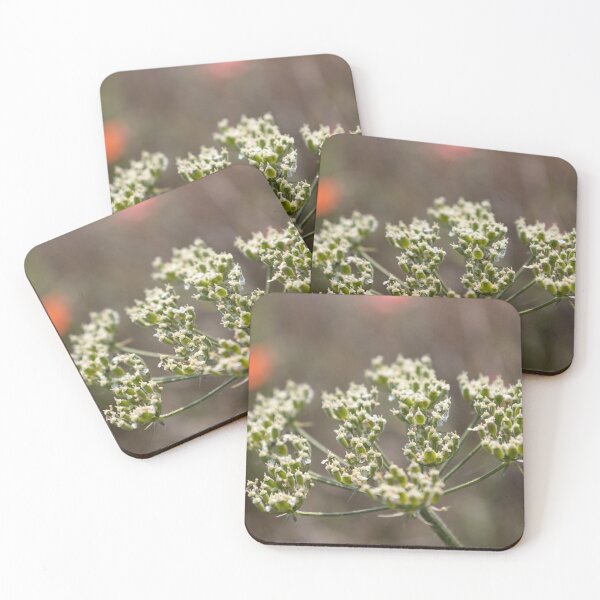 Item preview, Common Hogweed designed and sold by Calidris Fotografie Steffi & Ben Köppler.