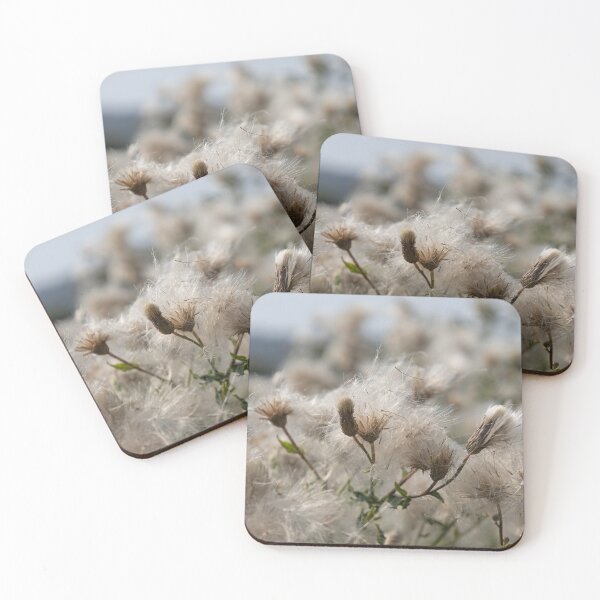 Item preview, Field Thistle 1 designed and sold by Calidris Fotografie Steffi & Ben Köppler.