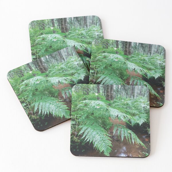 Item preview, Ferns in forest designed and sold by DarkArtStudio.
