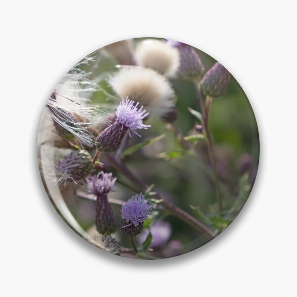 Item preview, Field Thistle 3 designed and sold by Calidris Fotografie Steffi & Ben Köppler.