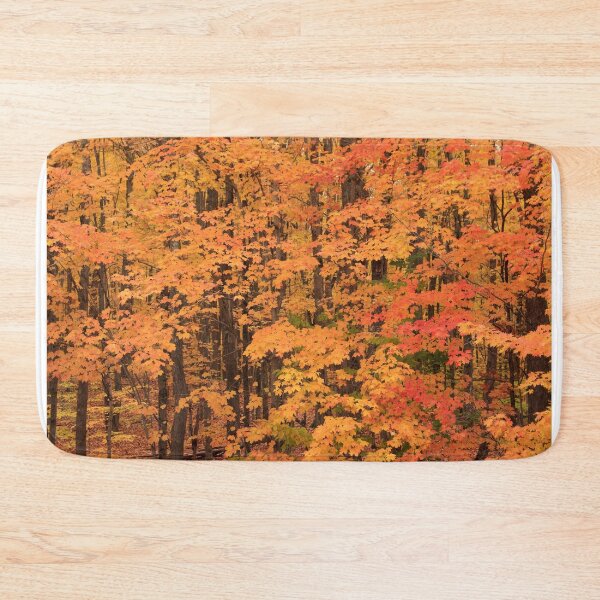 Item preview, Fall colors at Hartwick Pines State Park, Michigan designed and sold by Daniel Arthur Brown Photography.