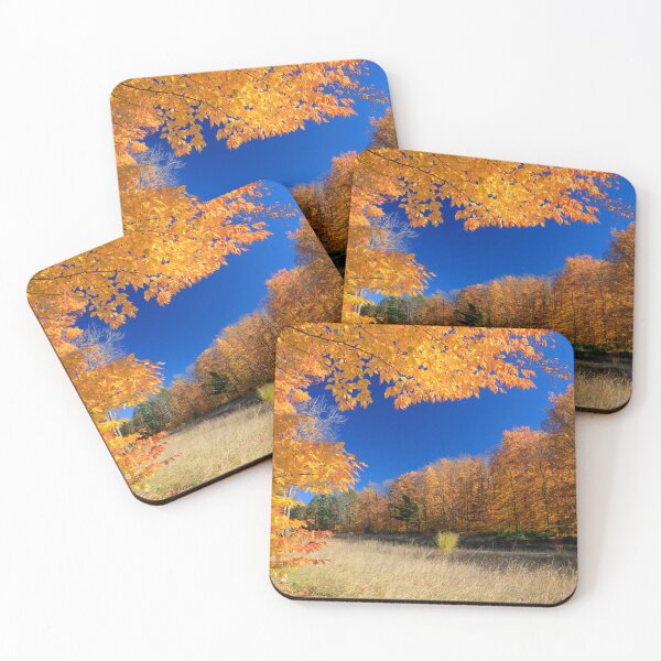 Item preview, Fall colors over the abandoned clear-cut, Hartwick Pines State Park, Michigan designed and sold by Daniel Arthur Brown Photography.