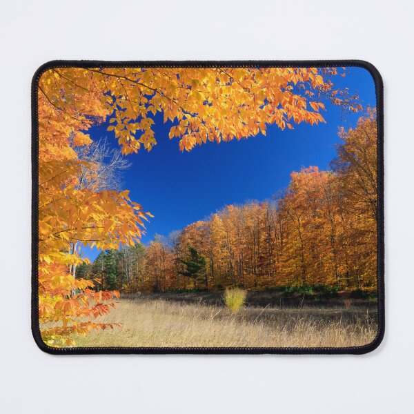 Item preview, Fall colors over the abandoned clear-cut, Hartwick Pines State Park, Michigan designed and sold by Daniel Arthur Brown Photography.