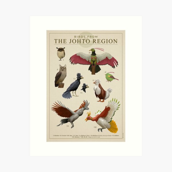 Birds of Johto Art Print