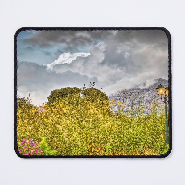 Item preview, A Garden in Crete designed and sold by Viv Thompson Photography .