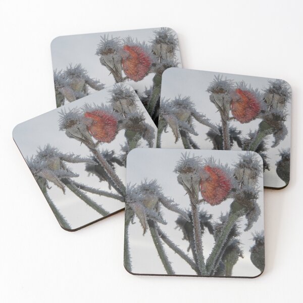Item preview, Spikey Rose designed and sold by Calidris Fotografie Steffi & Ben Köppler.