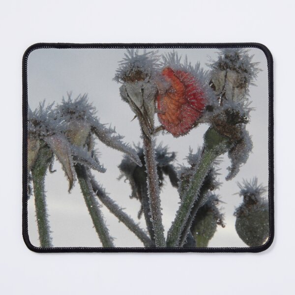 Item preview, Spikey Rose designed and sold by Calidris Fotografie Steffi & Ben Köppler.
