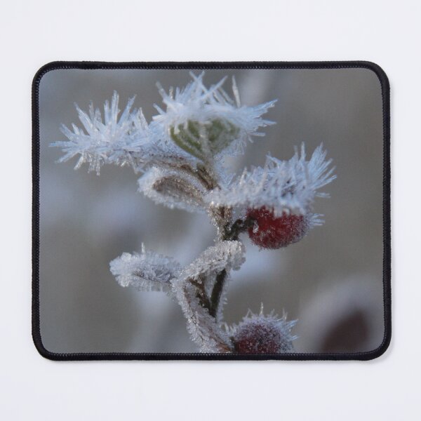 Item preview, Spikey designed and sold by Calidris Fotografie Steffi & Ben Köppler.