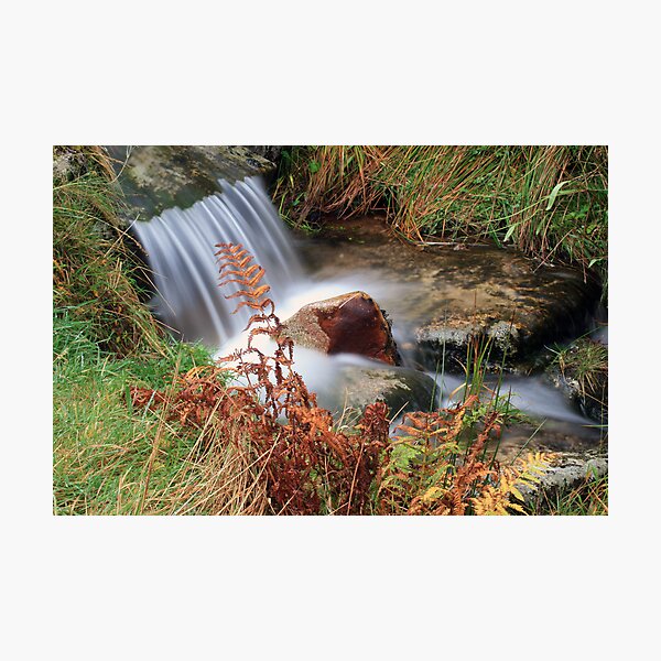 water green and brown Photographic Print