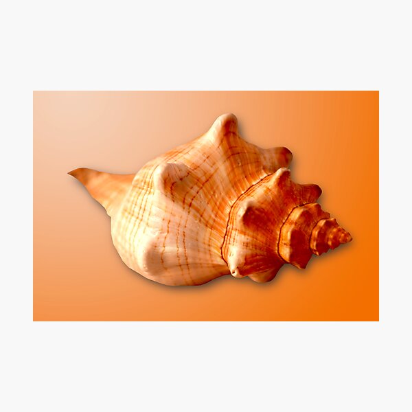 Item preview, Stripped Fox designed and sold by Roger Otto.