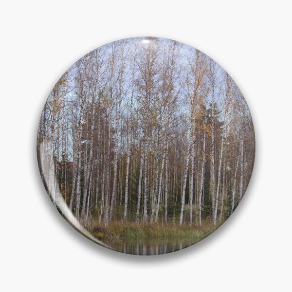 Item preview, Naked Birches designed and sold by Jouko Lehto Photography.