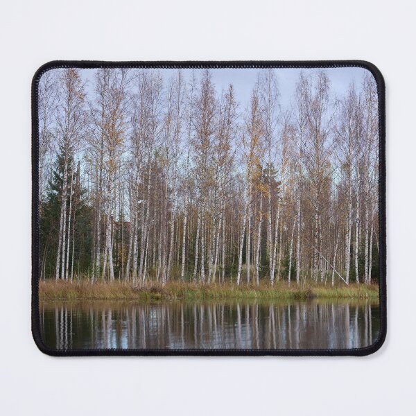 Item preview, Naked Birches designed and sold by Jouko Lehto Photography.