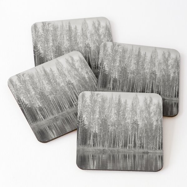 Item preview, Naked Birches bw designed and sold by Jouko Lehto Photography.