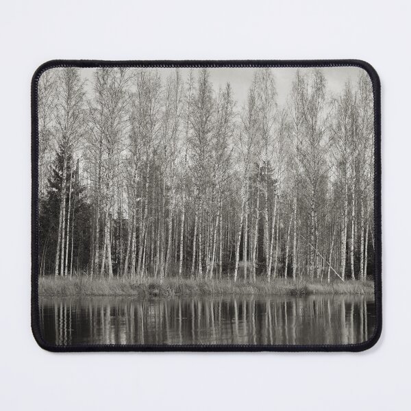 Item preview, Naked Birches bw designed and sold by Jouko Lehto Photography.
