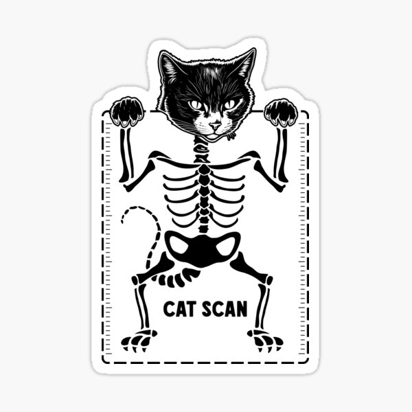 Ct Scan Stickers for Sale