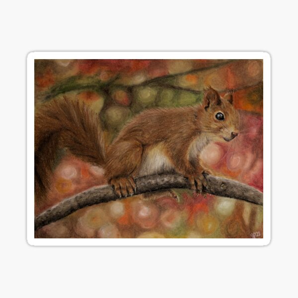 Red Squirrel Sticker