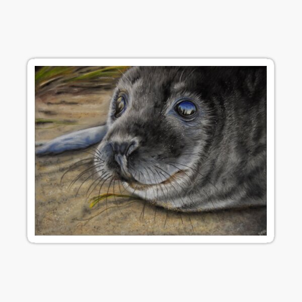 Summer Seal Sticker