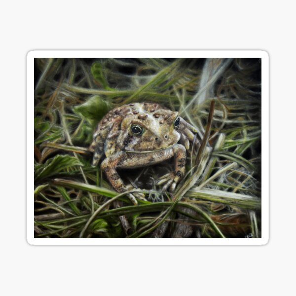 Tiny Toad Sticker