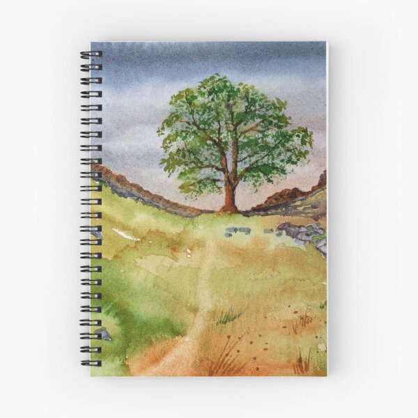 Item preview, Sycamore Gap View, Northumberland. designed and sold by John Ray.