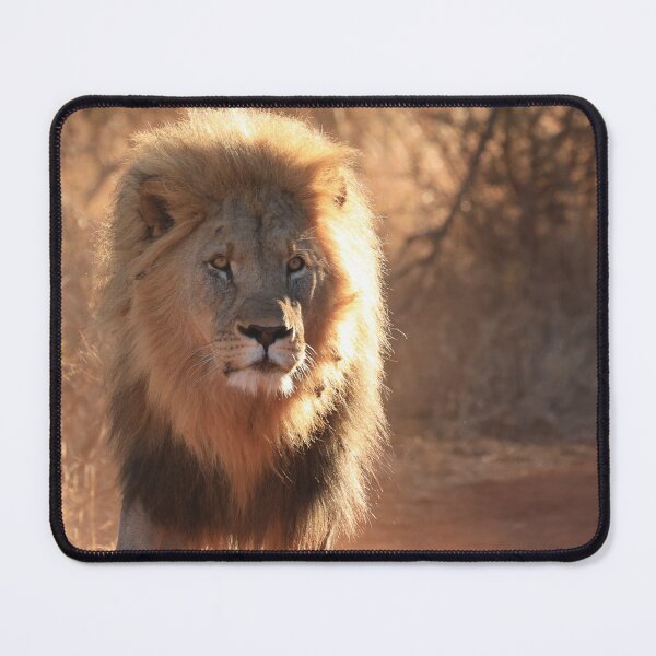 Aperçu de l'œuvre Lion royal créée et vendue par Lauren Banks.