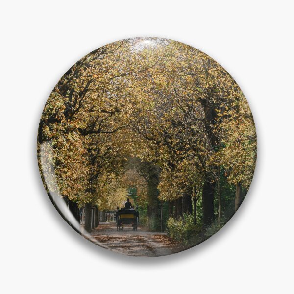 Item preview, Carriage designed and sold by FrancoisBed.