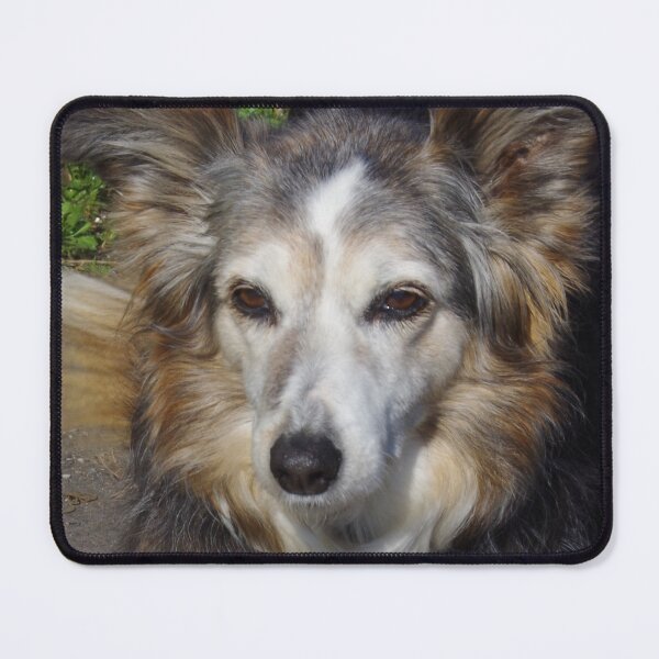 Item preview, Poppy - A Faithful Old Lady designed and sold by lezvee.