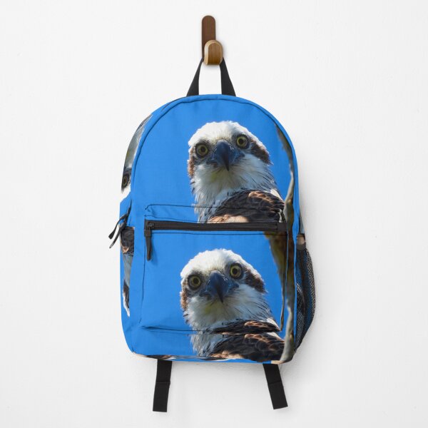Item preview, Osprey intence stare designed and sold by Mark Grimsley.