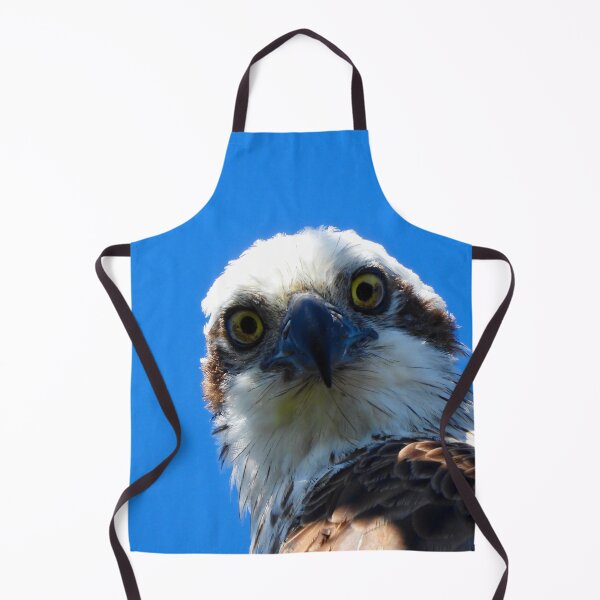 Item preview, Osprey intence stare  designed and sold by Mark Grimsley.