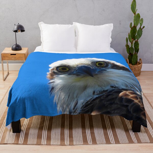 Item preview, Osprey intence stare  designed and sold by Mark Grimsley.