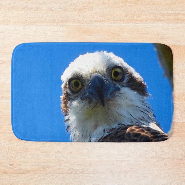 Item preview, Osprey intence stare  designed and sold by Mark Grimsley.
