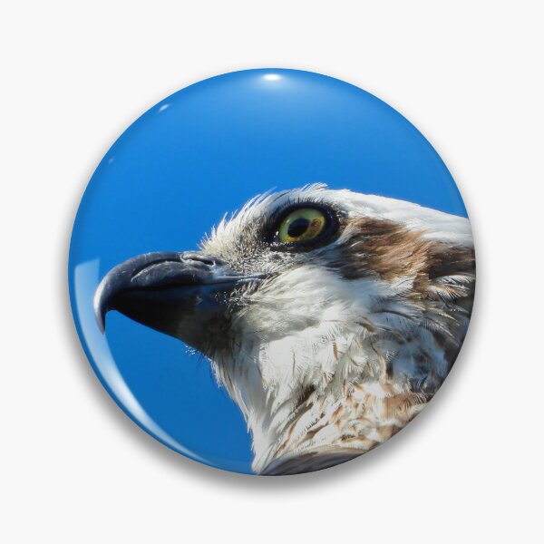 Item preview, Osprey profile stare designed and sold by Mark Grimsley.