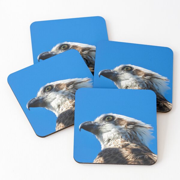 Item preview, Osprey profile stare designed and sold by Mark Grimsley.