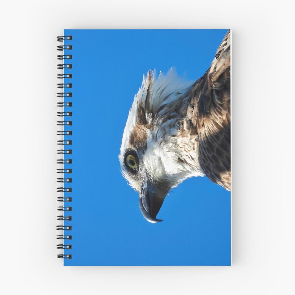 Item preview, Osprey profile stare designed and sold by Mark Grimsley.
